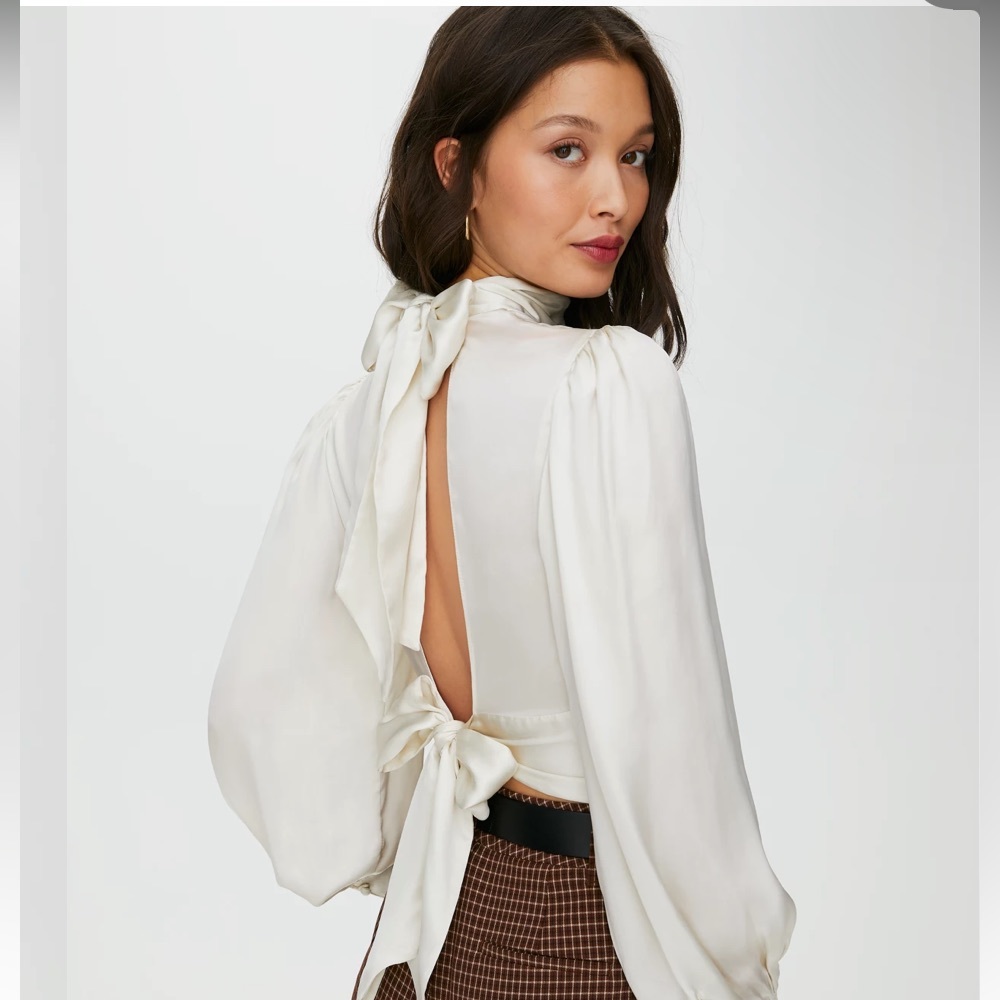 Aritzia Wilfred Leigh Blouse